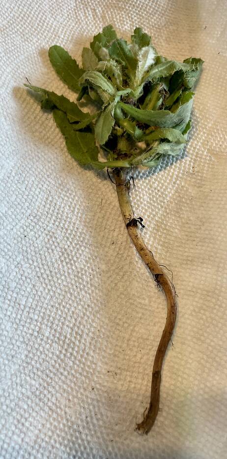 Read more about the article What To Do When You Feel Lost Or Anxious…